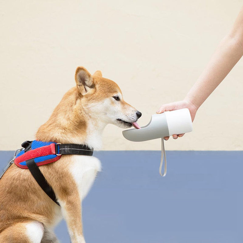 Pet Water Bottle Convenient Easy To Use