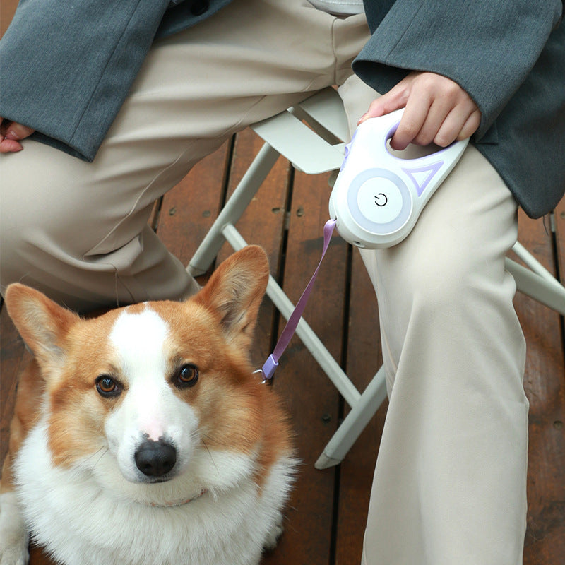 Dog leash retractable