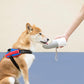 Pet Water Bottle Convenient Easy To Use