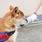 Pet Water Bottle Convenient Easy To Use