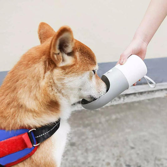 Pet Water Bottle Convenient Easy To Use